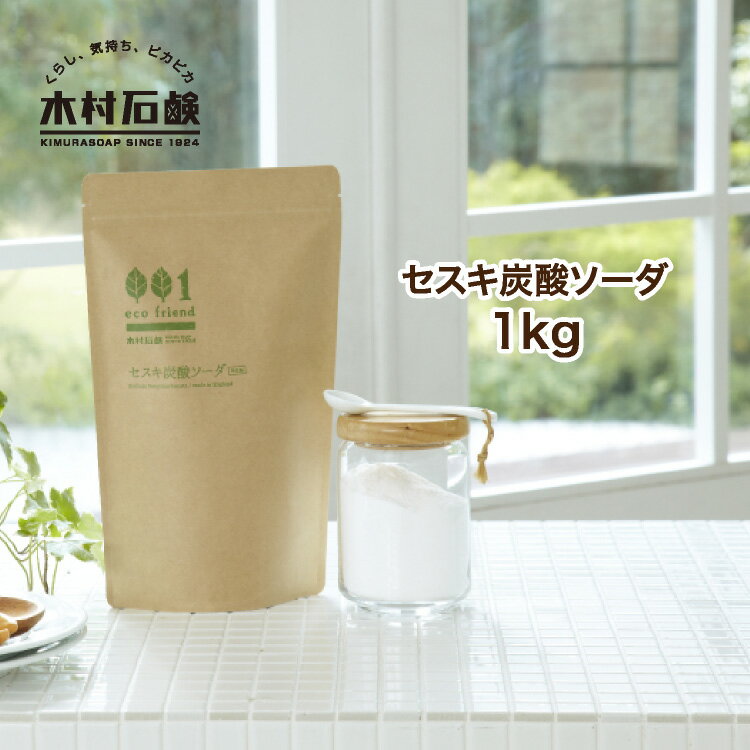 【400円OFFクーポン対象商品】eco friend セスキ炭酸ソーダ 1kg / エコフレンド 掃除用 ナチュラル原料 粉末