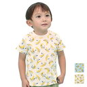 【GW限定 40%OFF】DITTOMARK. (ディットマーク ) 半袖Tシャツ (80〜140cm) 男の子 80cm 90cm 100cm 110cm 1...
