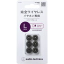 オーディオテクニカ ER-TW1 L SBK スペアイヤピース L ブラック(2)