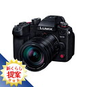 【推奨品】パナソニック DC-GH6L LUMIX ミラーレス一眼カメラ 標準ズームレンズキット DCGH6L