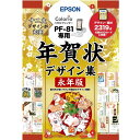 EPSON PFND20B 年賀状デザイン集永年版の商品画像