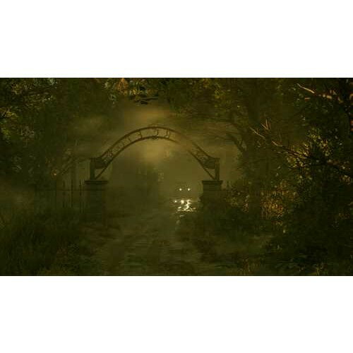 アローン イン ザ ダーク PS5　ELJM-30333