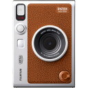 FUJIFILM INS MINI EVO BROWN C `FL