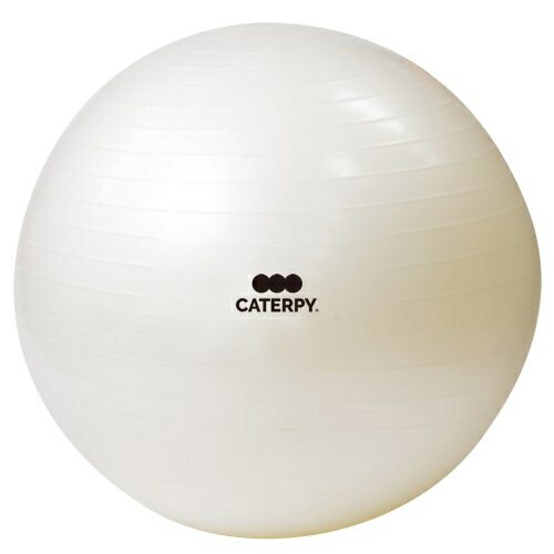 cCY CF-009 tBbglX{[65cm g[jO}jAEpve[vt CATERPY mFITNESSn p[zCg