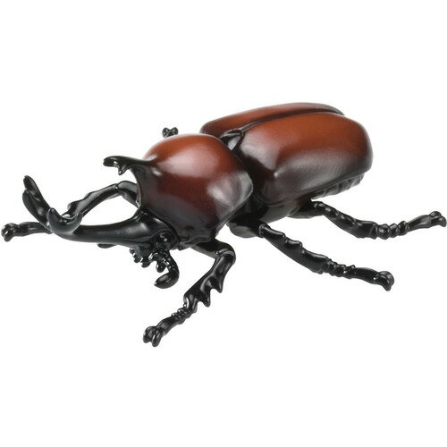 ȥߡ ˥ AS37 ֥ȥॷ