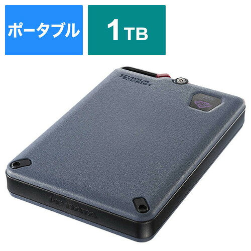 IOǡ SSPD-SUTC1 դSSD BizDAS 1TB ݡ֥뷿 ֥å