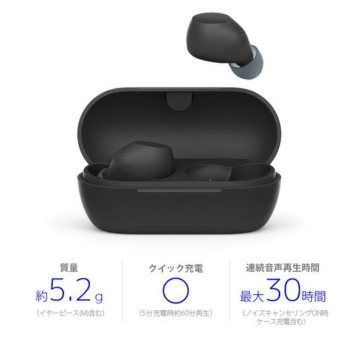 【推奨品】ソニー ワイヤレス イヤホン 左右分離 ノイズキャンセリング IPX4 最大40時間 USB-C WF-C710 NB ブラック系