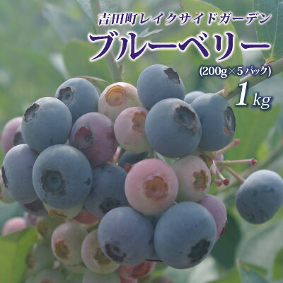 ご予約【7月下旬頃発送予定】 愛媛産 生果 ブルーベリー 1kg クール冷蔵便 果物 フルーツ 国産