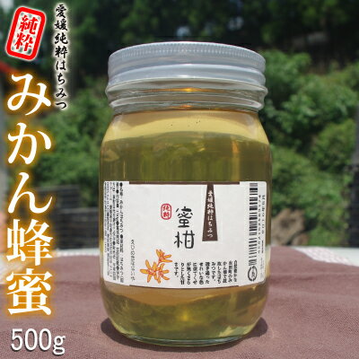 愛媛産 純粋みかん蜂蜜500g 【R2年産】 爽やかな蜜柑はちみつ