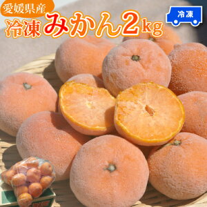 甘くて美味しい!!【冷凍】愛媛産昔ながらの冷凍みかん2kg (16個前後) 愛媛みかんをそのまま凍らせました。(外皮は剥いていません)添加物なしでたくさん食べても安心。自然な甘みです。