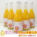 まどんなストレート