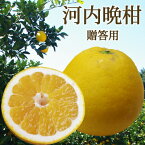 愛媛産 贈答用 河内晩柑 5kg・10kg 送料無料 柑橘 柑橘類 みかん フルーツ ギフト