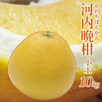 ☆小玉限定特別価格☆河内晩柑家庭用10kg