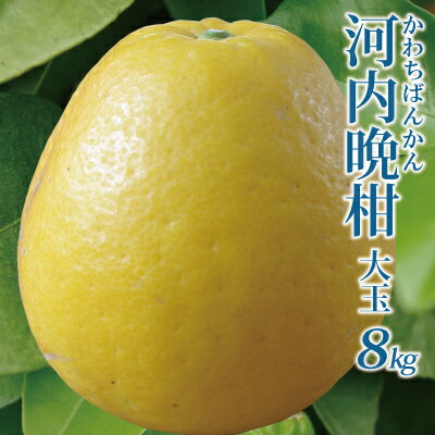 ポイント2倍愛媛産大玉河内晩柑(かわちばんかん)8kg(送料無料、北海道沖縄県500円)3L、4Lサイズ限定大満足の食べ応え