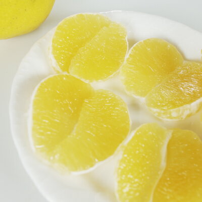 ご予約☆小玉限定特別価格☆河内晩柑・家庭用5kg【楽ギフ_包装】【楽ギフ_のし宛書】【RCP】