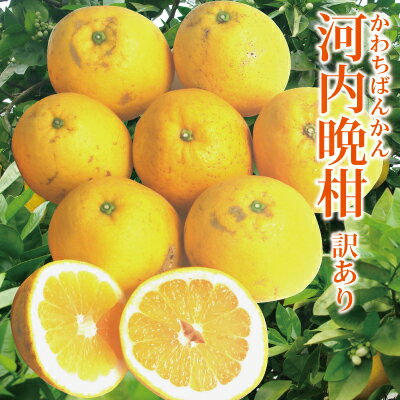 ɲմʤФ󤫤ˡ̵̳ƻ츩ӡ˳ν֥إʤɤͭ