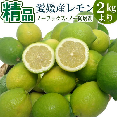 ɲ񻺤ΰ¿󡣥Ρå̤ѡ