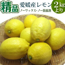 愛媛県国産の安心レモン。ノーワックス。防腐剤未使用。