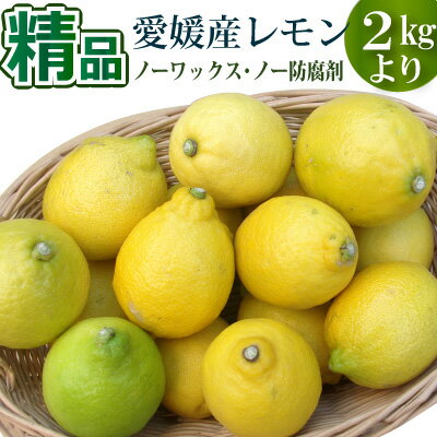 愛媛県産レモン2kg・3kg・5kg・10kg 精