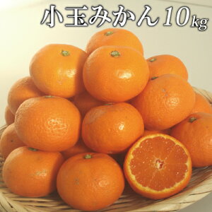 ご予約【11月中旬以降発送予定】愛媛産 小玉みかん10kg