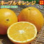 愛媛産　家庭用ネーブルオレンジ2kg（精品：L〜4Lサイズ混合）【送料無料(北海道・沖縄送料別途)】 香りが強くジューシーで上品な甘さ、安心の国産ネーブルオレンジ。