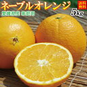 愛媛産　家庭用ネーブルオレンジ5kg（精品：L〜4Lサイズ混合）【送料無料(北海道・沖縄送料別途)】 香りが強くジューシーで上品な甘さ、安心の国産ネーブルオレンジ。