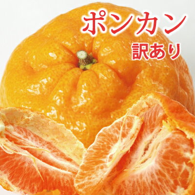 愛媛産 訳あり ポンカン 5kg・10kg 送料無料 柑橘 みかん フルーツ