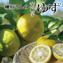 【すぐ発送限定 日付指定不可】愛媛産 家庭用 檜垣さんの 黄ゆず 2kg ・ 10kg 送料無料 柑橘