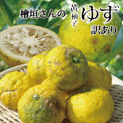 【すぐ発送限定 日付指定不可】愛媛産 檜垣さんの 訳あり 黄ゆず 2kg ・ 10kg 送料無料 柑橘