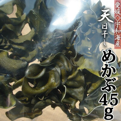 内容量 45グラム 賞味期限 製造日より6ヶ月 保存方法 直射日光と高温多湿を避け保存 原材料 めかぶ 商品説明 3月初め頃、宇和海で採って生のまま天日干しして袋詰めしています。地元産は安心・安全！ お湯で約5分もどして味噌汁、酢の物、めかぶ茶などにお使いください。柔らかいので煮すぎないように気をつけてください。カットしていませんので料理にあわせて自由にカットしてご使用ください。