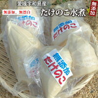 【R6年産】国産 愛媛県産たけのこホール水煮1kg（約3〜6袋)　●常温発送、到着後は...