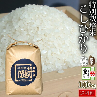 30年産【特別栽培米】愛媛県産こしひかり10kg　白米or玄米を選べます。【送料無料(北海道沖縄県送料別途)】[単一原料米]一等級コシヒカリ新年度産100％