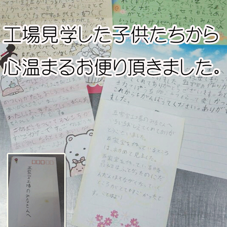 きな粉のお菓子五家宝3本times;6袋お試しセットKINAKOSWEETFACTORY老舗企業が作る絶品和菓子無添加ビーガンハラールお取り寄せスイーツ手土産ヘルシーダイエットギフト小分け職場おやつ健康美容お返し送料無料【テレビで紹介】【アド街】