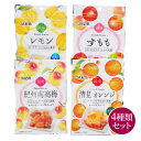 【送料無料】【ポスト投函】国産 和歌山県産 ドライフルーツ 4種類セット 紀州南高梅 清見オレンジ レモン すもも 国産ドライフルーツ JA紀南 お菓子 おやつ