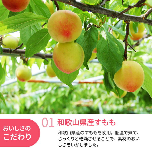 紀州梅のJAわかやま(紀南)の国産　和歌山県産　国産果実　ドライフルーツすもも　50g　国産ドライフルーツ　ドライスモモ　お菓子　おやつ　JA紀南　JAわかやま｜アングル2