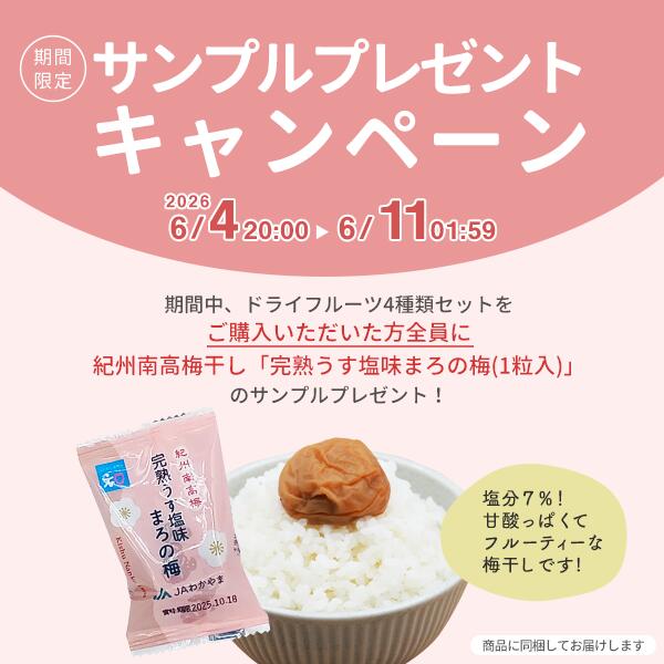 【送料無料】【ポスト投函】国産　和歌山県産　ドライフルーツ　4種類セット　紀州南高梅　清見オレンジ　レモン　すもも　国産ドライフルーツ　JAわかやま　JA紀南　お菓子　おやつ 2