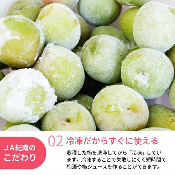 ɹ�� ���������(�߼��ѡ��ߥ��塼����) 2kg��500g��4�ޡ� �²λ����������������ߡ�����ߡ������ߡ���������ߡ����ꡡ���Τޤ޻Ȥ��롡�߼��ߥ��塼�����ߥ���åס��ߥ����å� JA�狼��� JA����