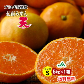 【送料無料】旨味極撰　紀南みかん「天」（Sサイズ） 5kg×1箱★　和歌山県　JA　紀南　トップブランド　高糖度　ミカン　光センサー　早生みかん　10月　11月　秋　冬　季節限定　柑橘　贈答用　ギフト　手土産　フルーツ　お礼　果物　新鮮　産地直送　全国お届け