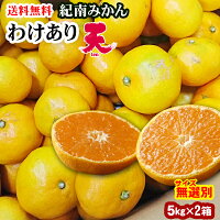 わけあり「天」みかん(サイズ混合) 5kg×2箱(合計10kg) ★和歌山県紀南地方の甘いブランドみかん キズあり 訳あり 無選別 早生みかん