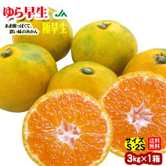 https://thumbnail.image.rakuten.co.jp/@0_mall/kinan/cabinet/orange/yurawase/imgrc0080014327.jpg