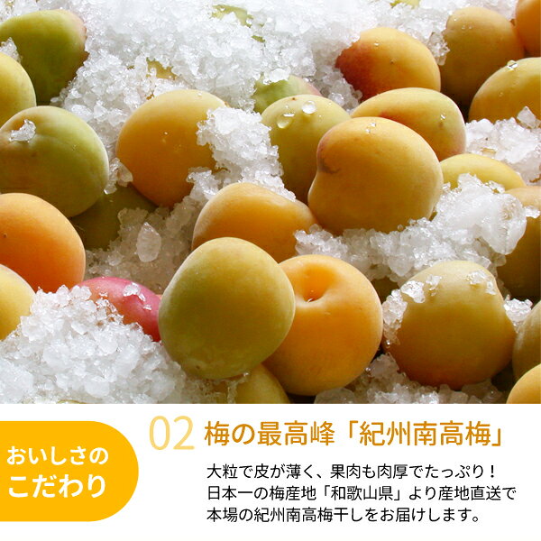 備蓄用　白干し梅（塩分22％） 400g【災害用・防災用・保存食】☆個包装 賞味期限約5年　うめぼし　梅干し　ウメボシ　長期保存　非常食　5年保存　JAわかやま　JA紀南 kinan-10000337 紀州梅のJAわかやま(紀南) サンプル画像3