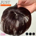 【SALE価格+300円クーポン付】ボリュームが増えない美容師のセニング仕上げ シースルーナチュラル ヘアピース JUST 人毛のような人工毛Premium m...