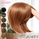 【SALE価格+300円クーポン付】ヘアピース ワイド ボリュームタイプ JUST3 カバーウィッグ 部分ウィッグ ウィッグ ウイッグ 前髪ウィッグ トップカバ...