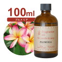 国産 アロマオイル プルメリア 100ml【 ソープ アロマキャンドル アロマストーン ディフューザー サシェ 材料 資材 制作 ツール 】(4)