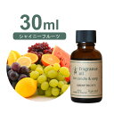 フランス産 アロマオイル シャイニーフルーツ 30ml【 ソープ アロマキャンドル アロマストーン ディフューザー サシェ 材料 資材 制作 ツール 】