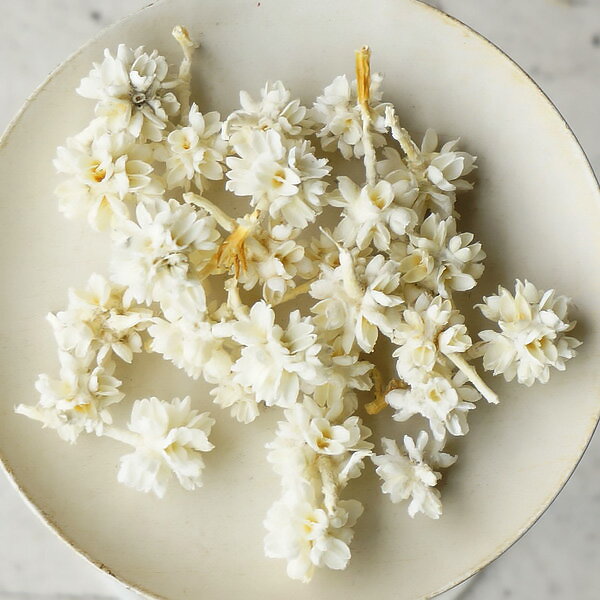 大地農園　フラワーコーン 【 ドライフラワー ハーバリウム 花材 材料 資材 造花 】