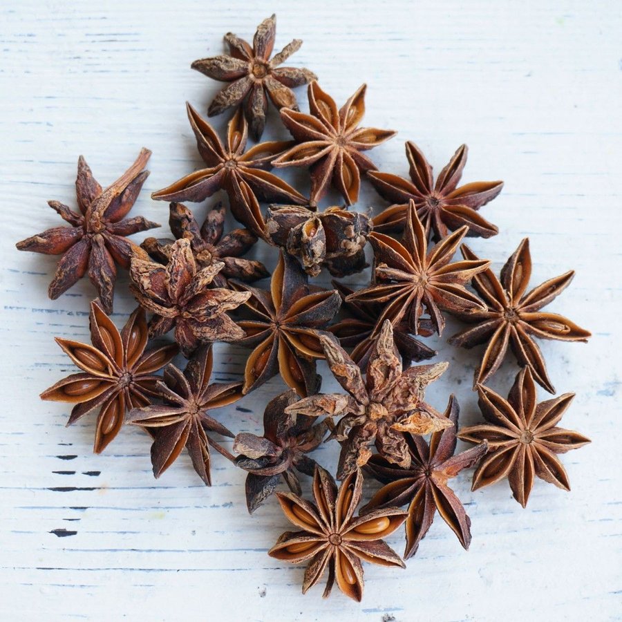 大地農園　スターアニス【 ドライフラワー ハーバリウム 花材 材料 資材 造花 】