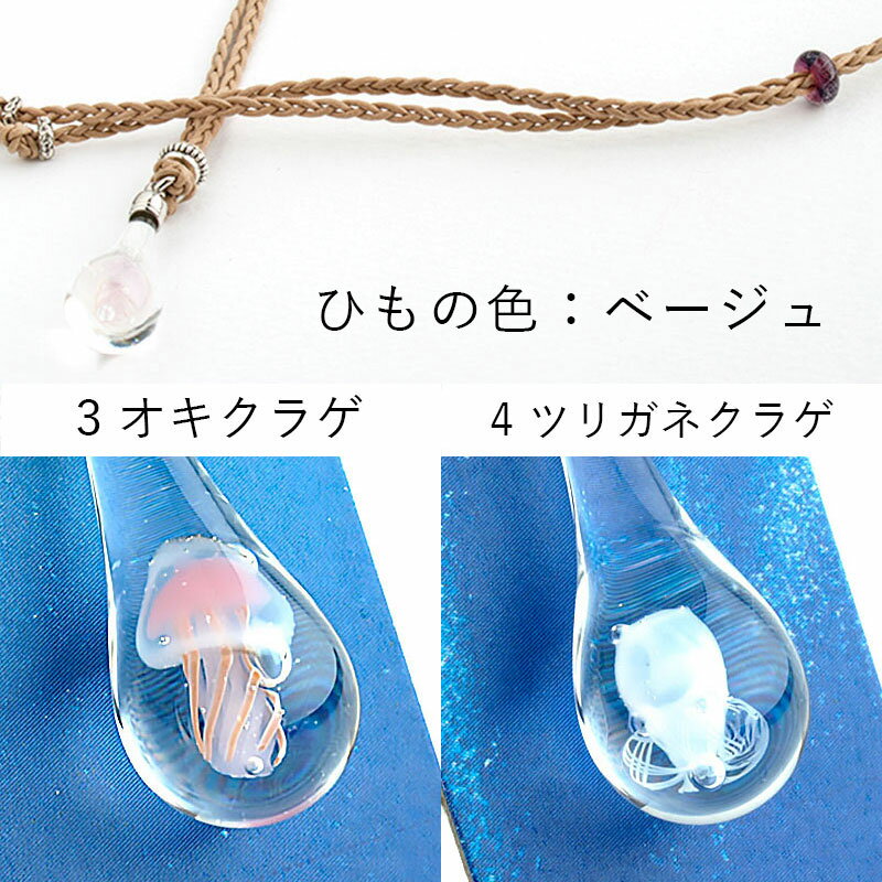 クラゲminiチャーム01-2(キタカミクラゲ)cha-kurage01-2-6