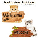 EFJ {[h welcome board  GgX Vbv JXj V j o} 킢 L lR ˂ cat g To qL kitten Aj} 킢  Mtg ̓ ̓ j a   J 