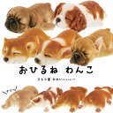 置物 オブジェ おひるね わんこ